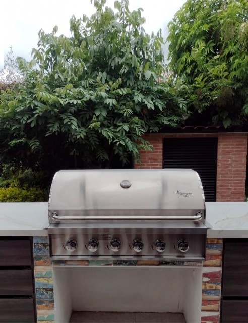 Asador BBQ a Gas de...