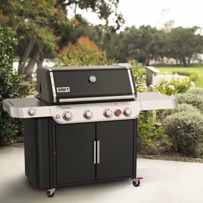 Asador de Gas Genesis E-435