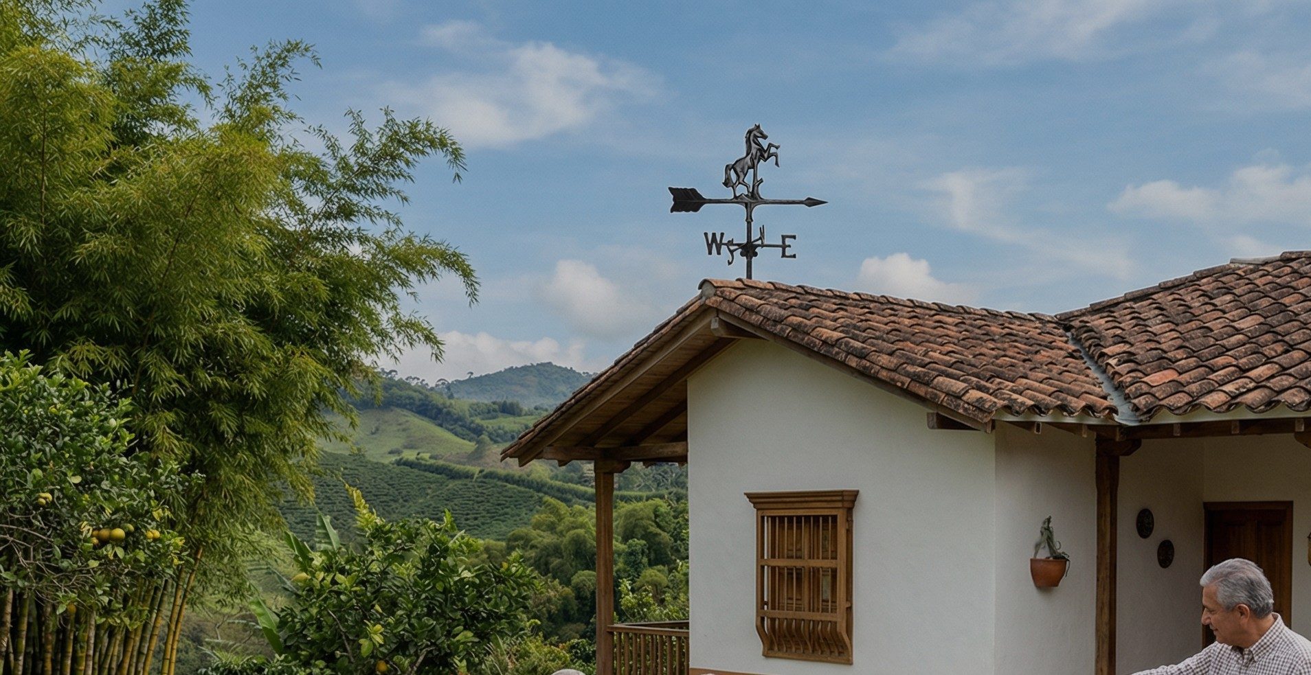 Accesorios Decorativos